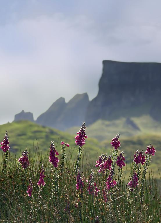 Storr Apartments Portree Eksteriør billede